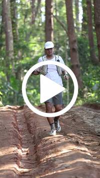 BIB:  <button type="button" onclick="openModal(26569746)" class="btn btn-primary btn-sm float-right" data-toggle="modal" data-target=".modal-high-quality">
                <i class="fa fa-download"></i> Download
                </button>